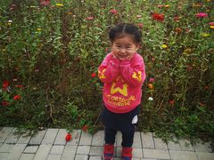 -悦宝园早教中心(庐阳区省直中心店)