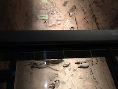 -汉景帝阳陵博物院