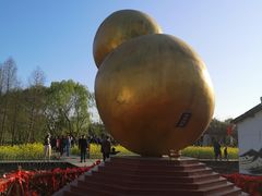 -溱湖国家湿地公园