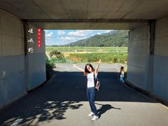 -岚山嵯峨野观光小火车
