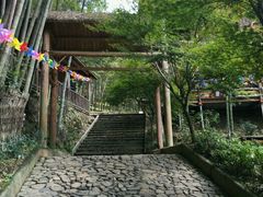 -宁波浙东大竹海景区