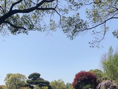 -上海鲜花港