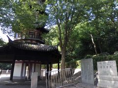 景点-上海佘山国家森林公园西佘山园