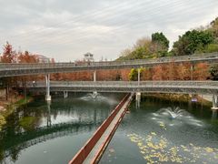 -福道