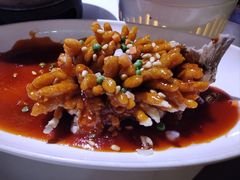 -老平安农家菜(平安店)