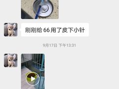 -睿金宠物医院·CT·肿瘤·骨外科