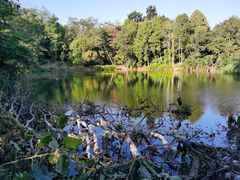 -中国科学院西双版纳热带植物园