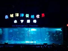 景点-泉城欧乐堡海洋极地世界