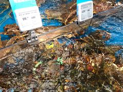 -盒马鲜生(大成店)