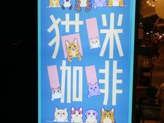 -飞行喵MR PILOT|猫舍·猫咖(静安大融城店)