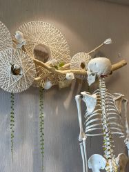 -小林日式·小颜整骨院