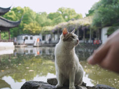 -西园寺