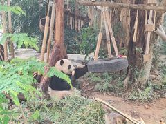 -泉州海丝野生动物世界