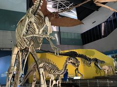 -湖南省地质博物馆