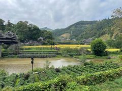 -程阳八寨景区