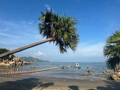 -那琴半岛地质海洋公园