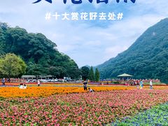 -广州市石门国家森林公园