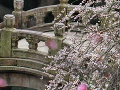 -北寺塔