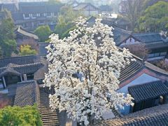 -常熟方塔园