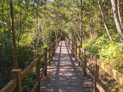 -广州白江湖森林公园