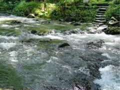-广州市石门国家森林公园