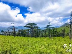 -秦岭风景区
