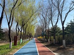 -大兴滨河森林公园
