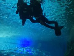 -北戴河圣蓝海洋公园