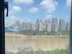 -李子坝梁山鸡(李子坝大鸡哥店)