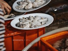 -花苑美食横琴生蚝火锅(拱北粤华路店)