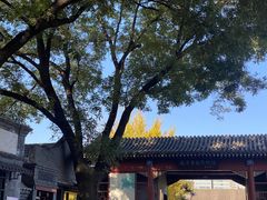 -北京鲁迅博物馆(北京新文化运动纪念馆鲁博馆区)