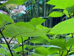 -藏龙百瀑风景区