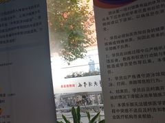 -大同中学游泳