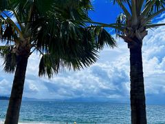 -大梅沙海滨公园