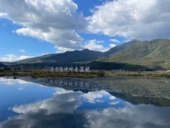 -腾冲北海湿地