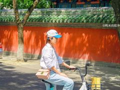 -北京国子监胡同