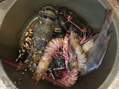 -真浪花园海鲜餐馆