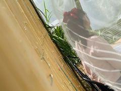 -亮河湾山庄