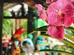 -自然餐厅(Phuket)