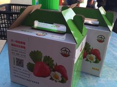 -青浦采草莓天天草莓园