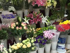 -三旗百汇商品城