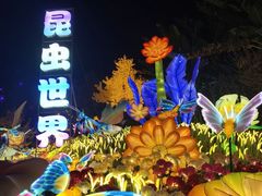 -国际非物质文化遗产博览园