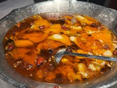 沸腾水煮鮰鱼-沸腾鱼乡(知春路分店)