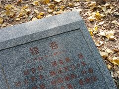 -大连植物园