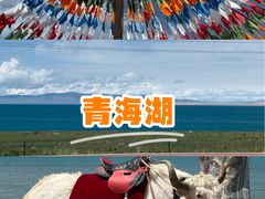 -青海湖国家重点风景名胜区