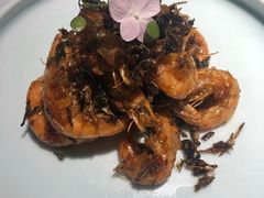 -韵秋荷(宝山龙湖天街店)
