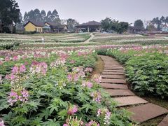 -保利石象湖景区