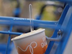 -Dip in Gelato(富民路店)