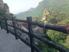 -大芦花风景区