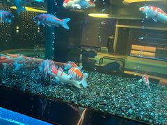 -碧涛阁·泡泡海洋·汤泉洗浴(王府花园店)